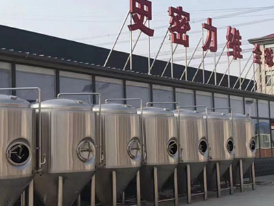 铁西精酿啤酒设备厂—如何判断精酿啤酒设备的密封件需要更换？